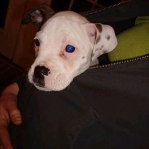 Meet your Posher, Maryann